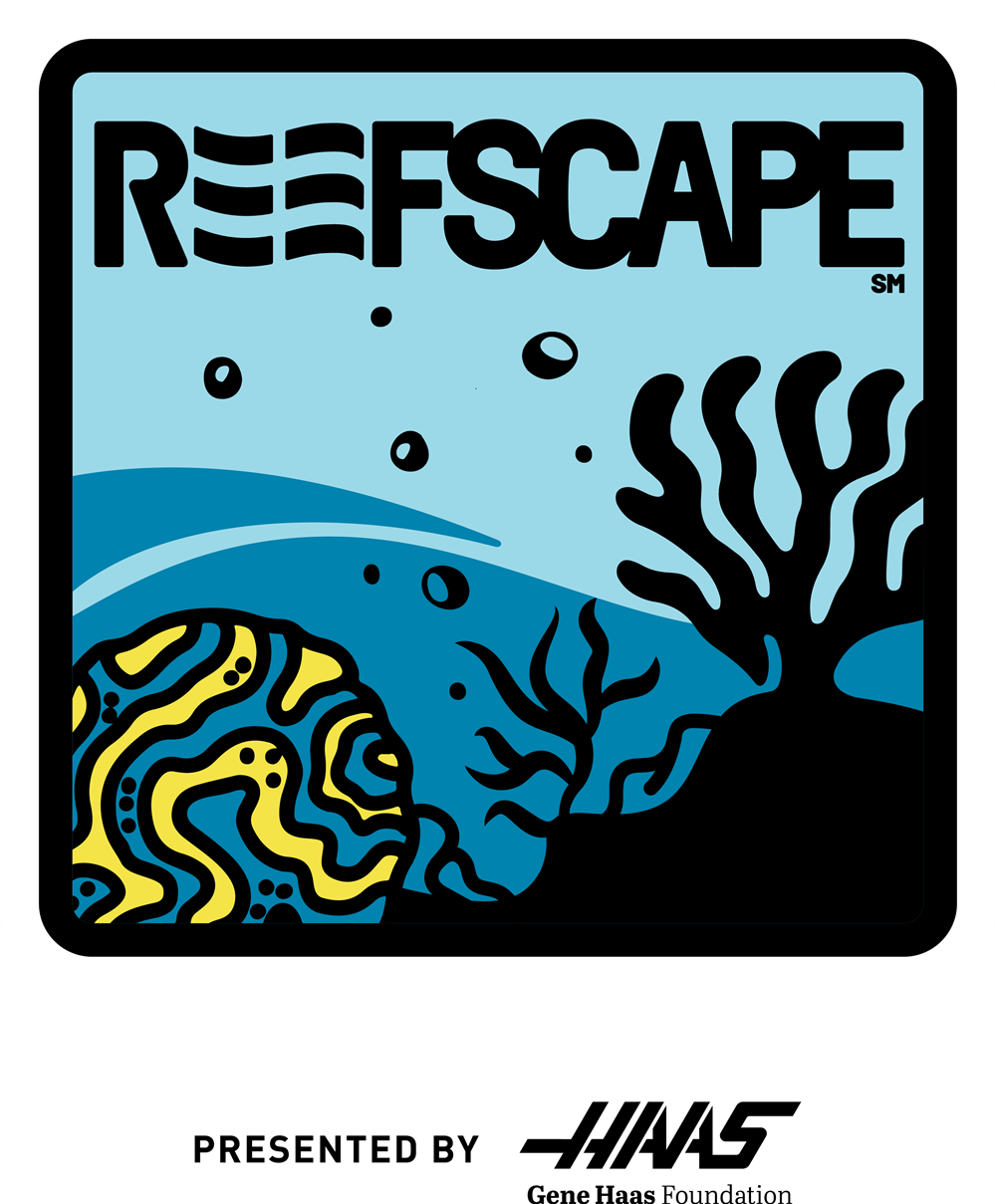 REEFSCAPE patch logo